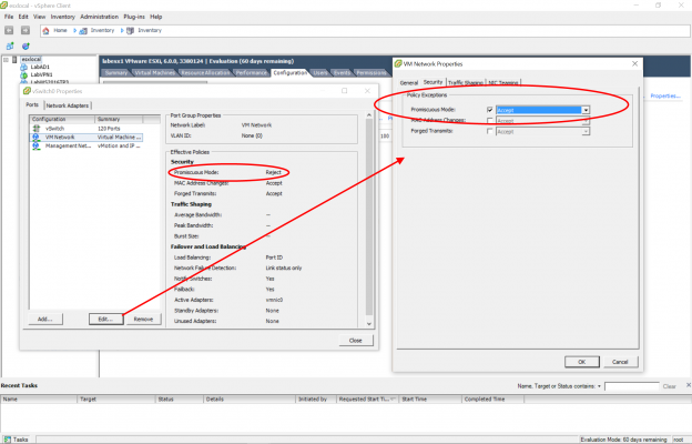 Enabling Promiscuous Mode on a vSwitch